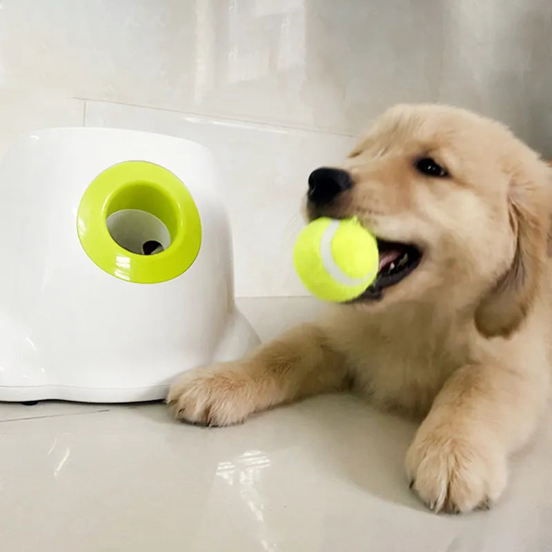 Automatic Pet Ball Launcher